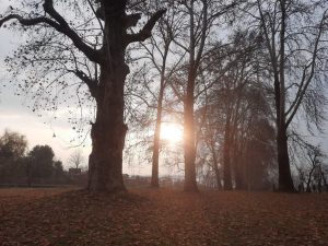 Sunrise view in Kashmir