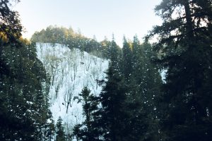 When snow falls, nature listens in silence ??
Snow falling on trees on a hill. There is snow on the ground and pine trees.