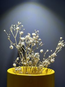 Flower in a small flower pot under the light. 