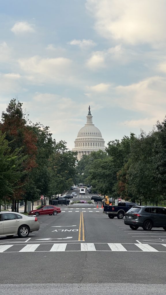 A photo of the United States Capitol from a distance, in Washington, DC, USA.
