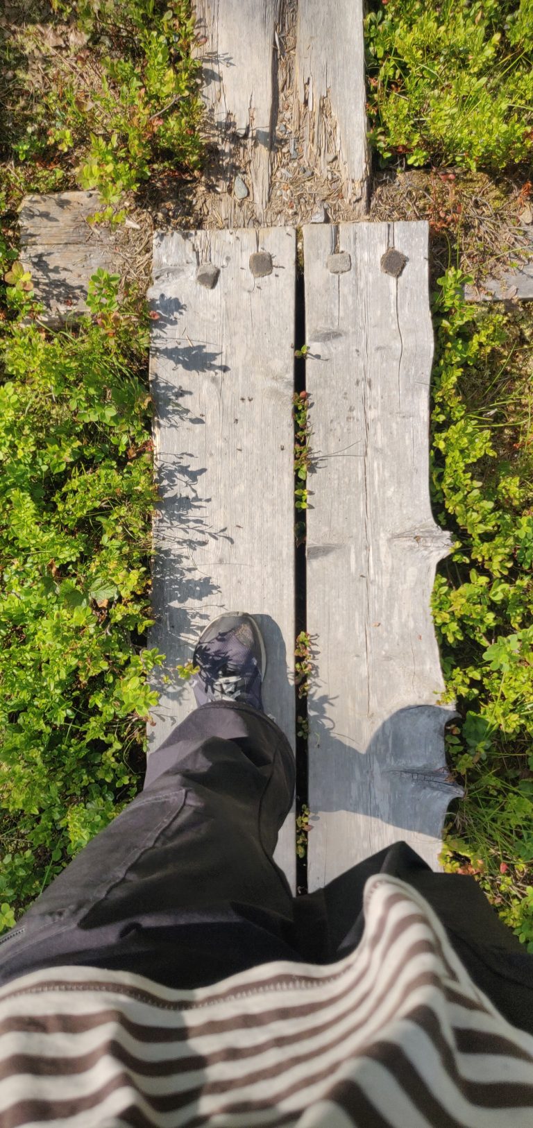 Walking on the duckboards.