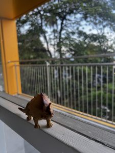 View from a pediatric hospital in Costa Rica