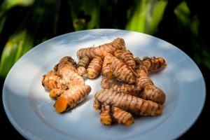 Recently harvested chunks of Tumeric, curcumin on a plate.