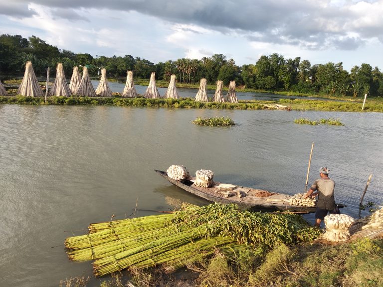 A farmer is working in the river and very beautiful weather and clean water.