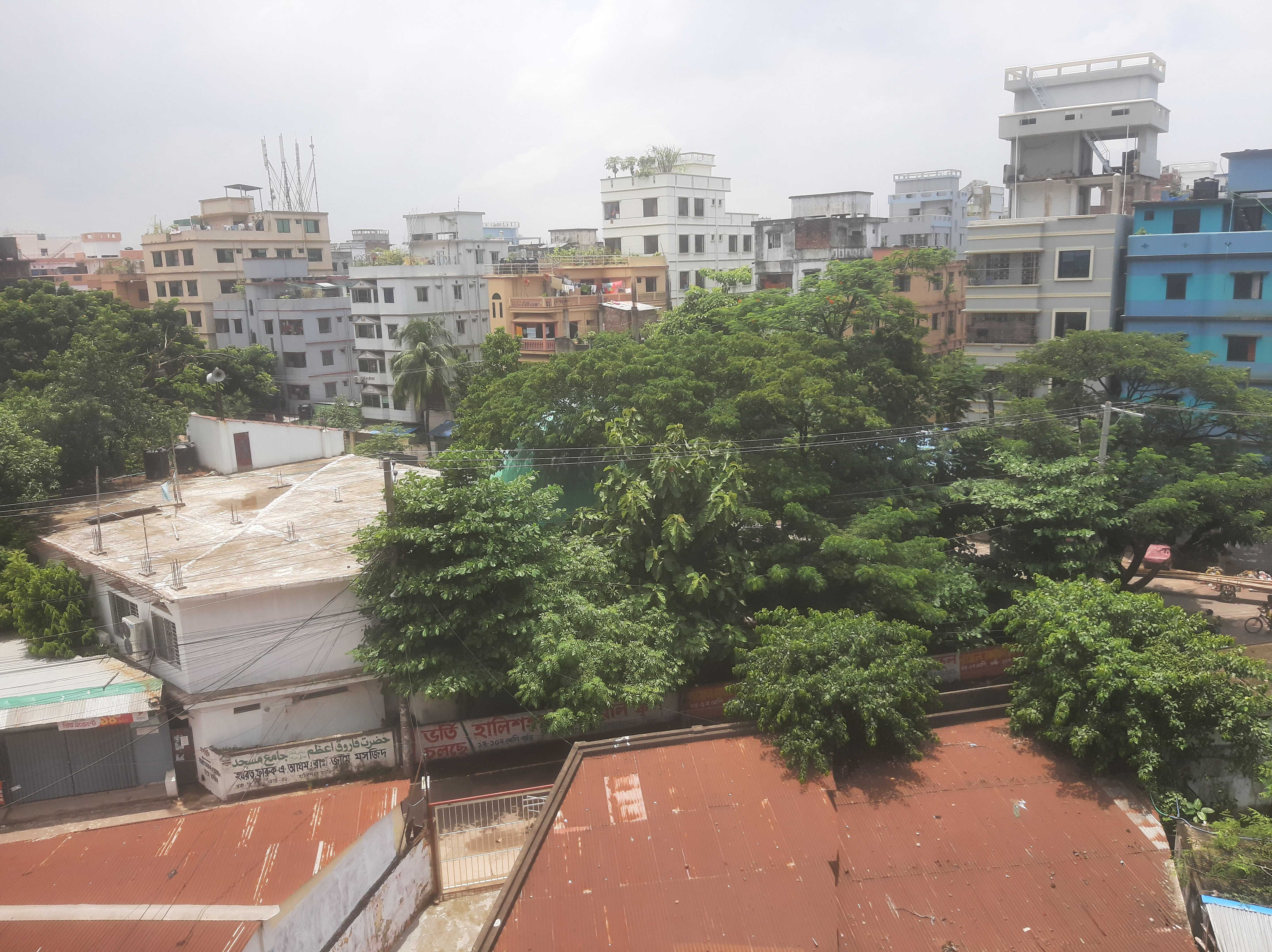 View across rooftops in a city with some tress poking up through.