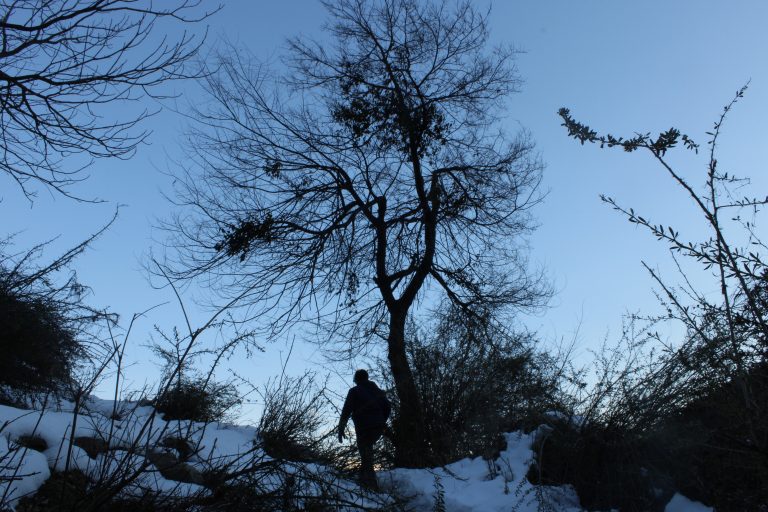 A person climbing up on snow mountain with the tress in evening.