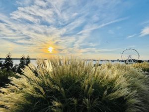 An early sunset view of National Harbor near to Gaylord National Resort & Convention Center. From Maryland, United States