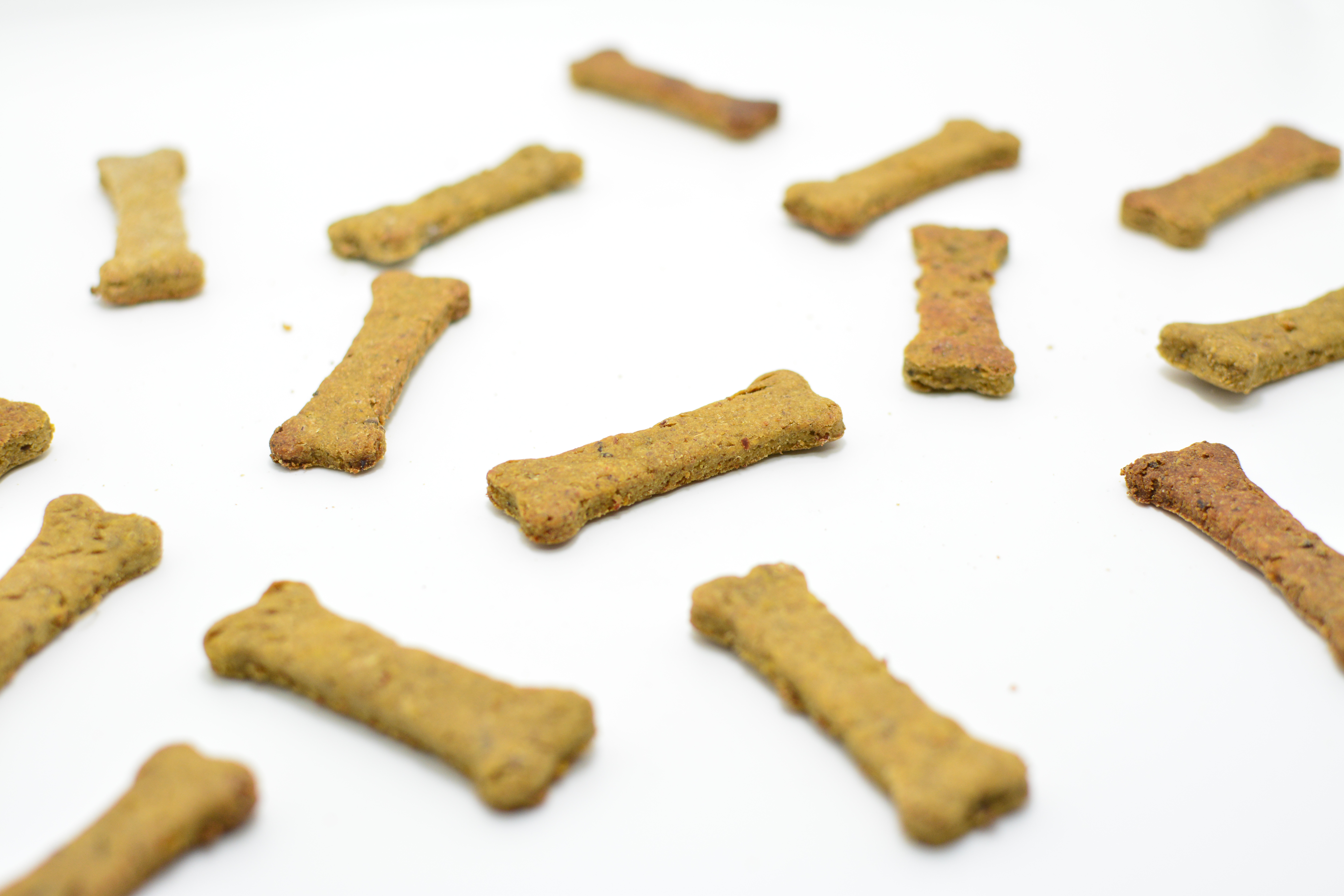 Bone shaped hotsell dog treats