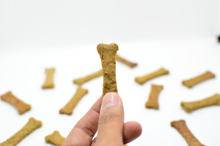 bone shaped dog treats biscuits