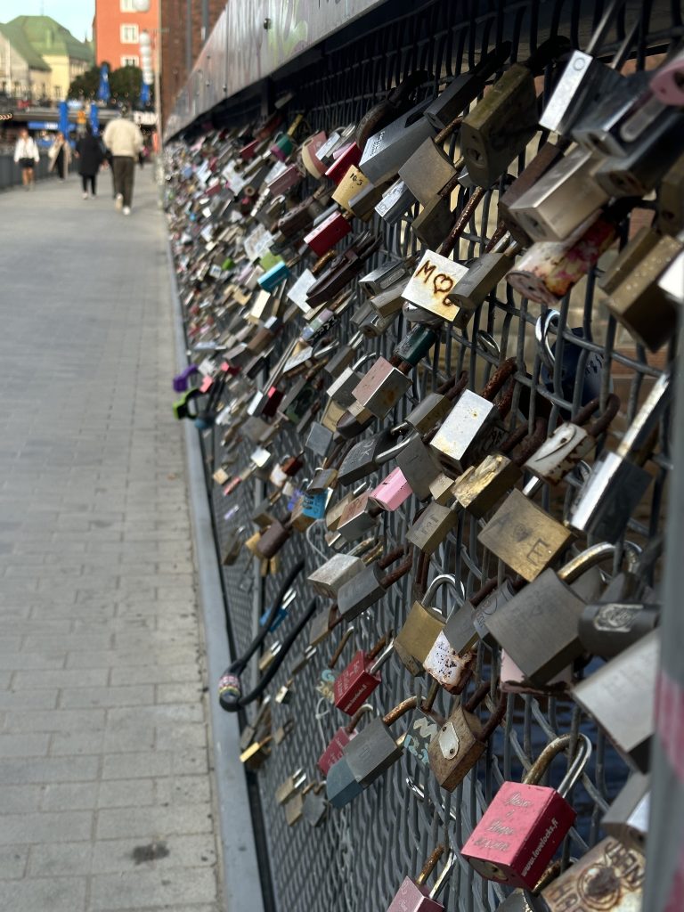 Many locks secured on a fence at the side of a bridge.