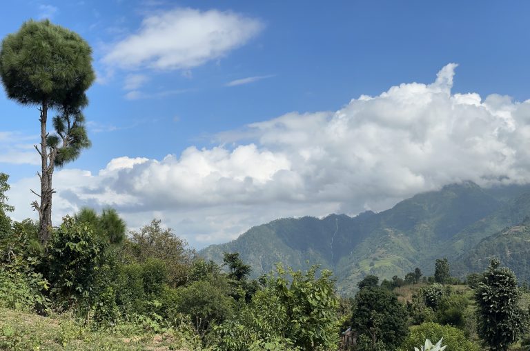 Hill, Tree, Clear White Cloud