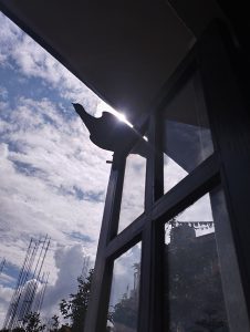 Pigeon, cloud, window, sky