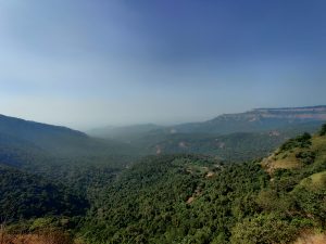 Forest covered mountain vista, hazy on the far horizon