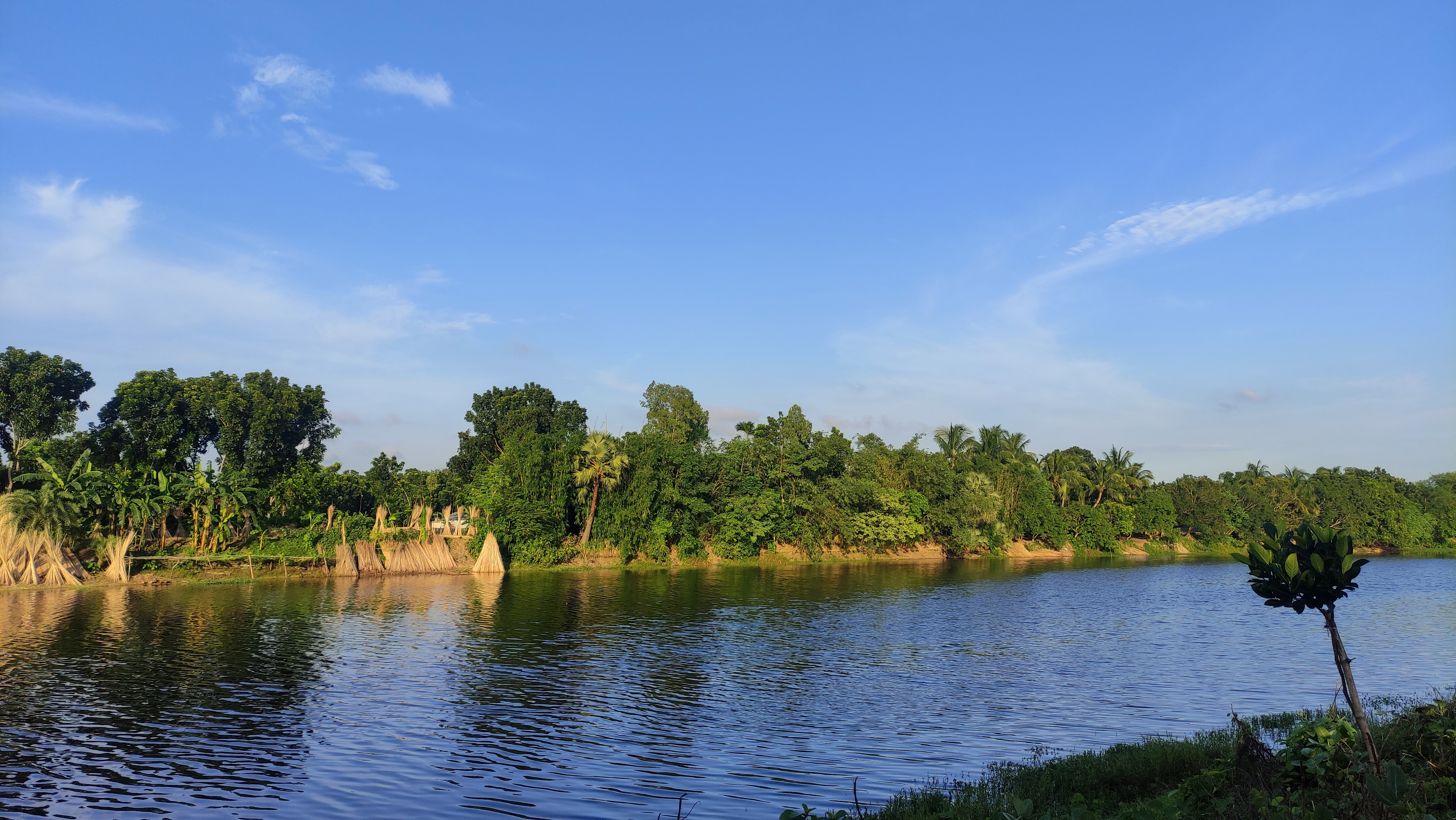 Ichamati River Scenic View from Bilsolongi, Pabna, Bangladesh - Tranquil Green Landscape