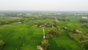 Bangladeshi Green village areal view
