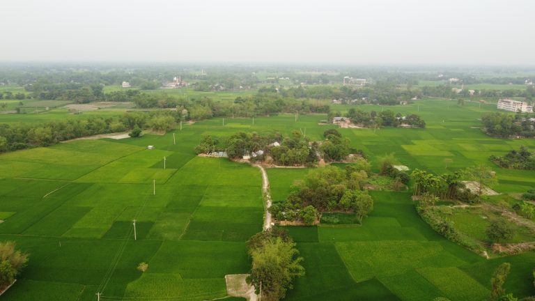 Bangladeshi Green village areal view