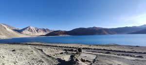 Pangong Lake Tso – Ladakh
