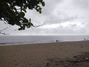 Calicut beach and sea view view on a grey day. People walking along the shore line and a dog lying on the sand. Tree branches with full green leaves to the left of the photo.
