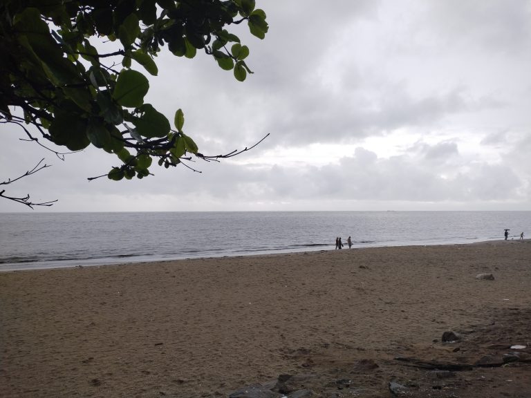 Calicut beach and sea view view on a grey day. People walking along the shore line and a dog lying on the sand. Tree branches with full green leaves to the left of the photo.