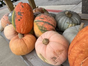 Gourds in a variety of sizes and shapes, some lumpy, some smooth, all sitting on an old bench.
