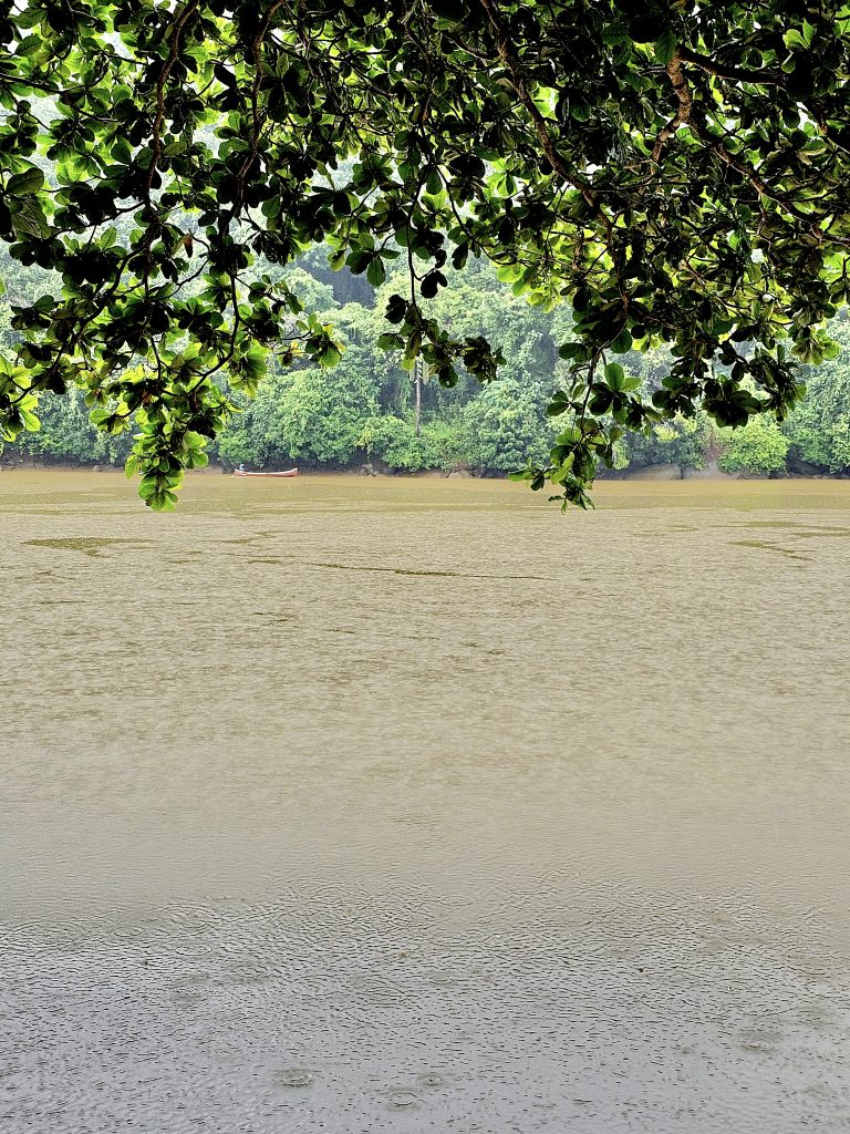 Fisherman in the rain. A monsoon shot from Chaliyar river. Perumanna, Kozhikode, Kerala.