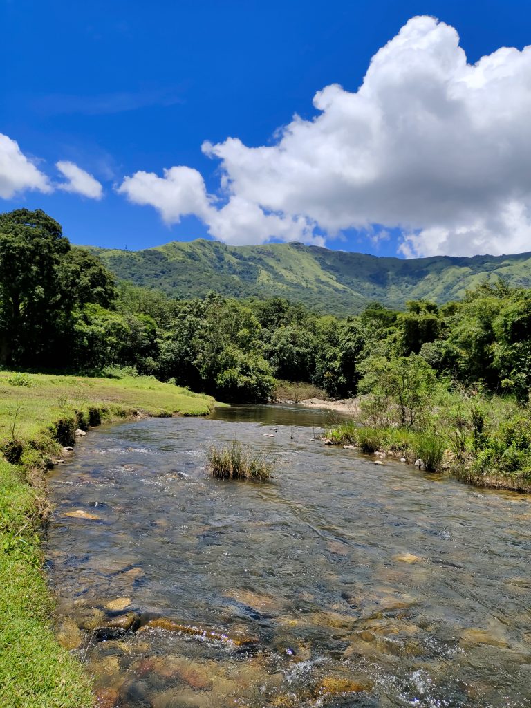 A beautiful valley view with trees and a river.