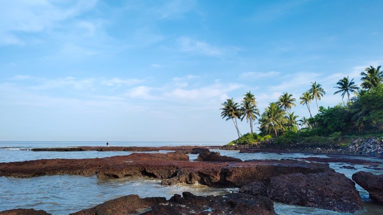 A rocky beach with coconut trees and blue sky.
#rocky #beach #palm #trees #body #water #WPPhotoFestival