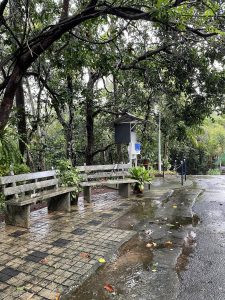 Peaceful nature with traveler rest after a rain.
