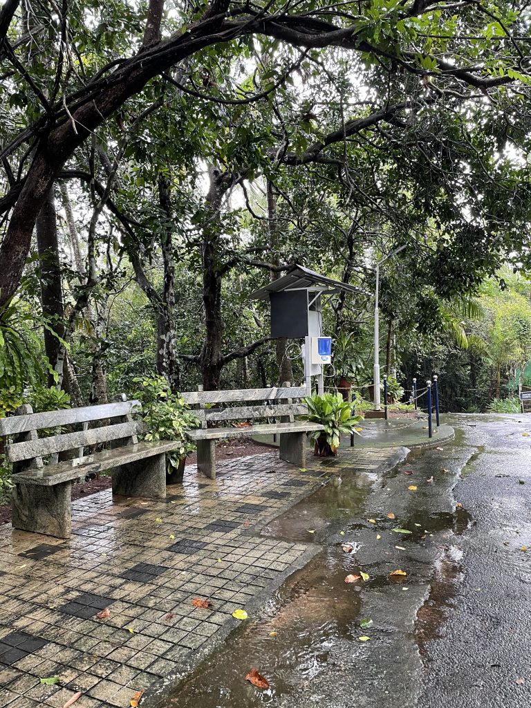 Peaceful nature with traveler rest after a rain.