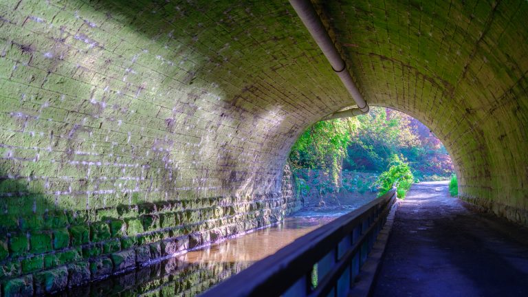 Walkway and creek through a mossy tunnel with light and foliage at the end