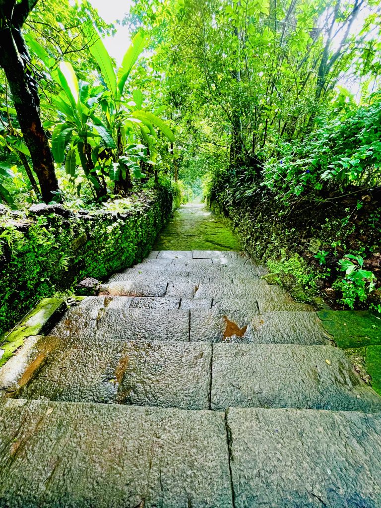 Stone stairs in a village of Kerala, India