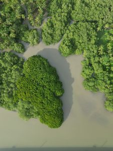 aerialphotography droneshot river and trees