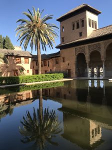 An inner yard in Alhambra with a palm tree and a dark pool reflecting its surroundings

