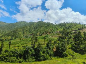 Terrace farming in Nepal. #WCBhopal