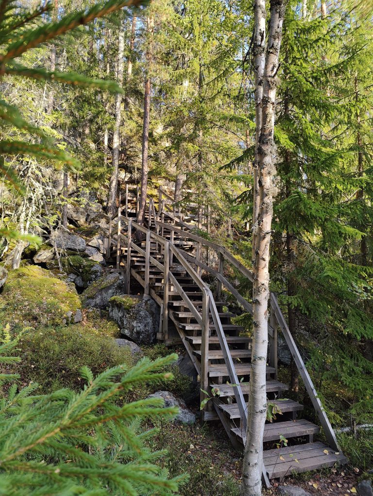 A wooden staircase winds through a dense forest with tall pine and birch trees. The stairs navigate around large rocks and mossy ground. Sunlight filters through the branches, casting dappled shadows on the steps.