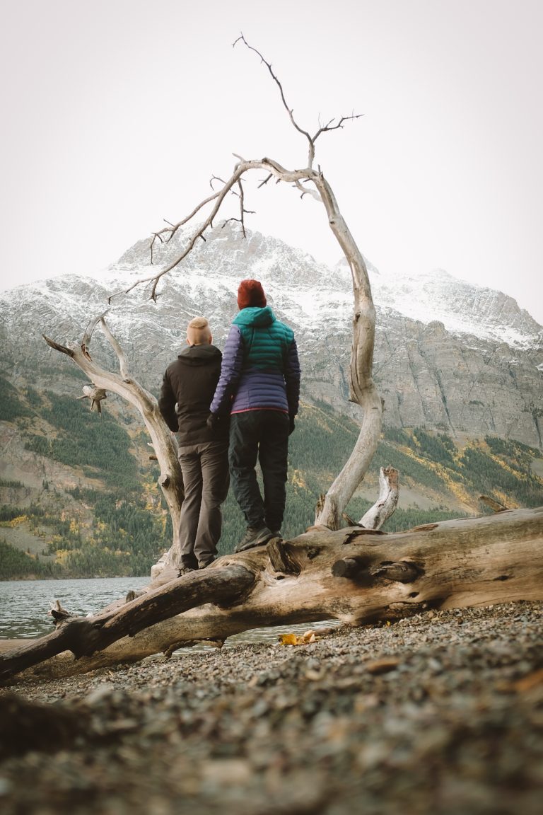 Two people standing next to each other in between dynamic branches of a log surrounding them as they look out to a snowy mountain view.