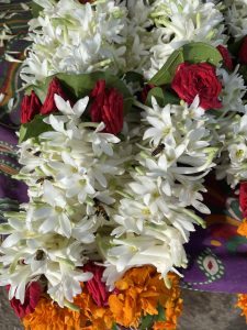 A jasmine garland. Honeybees are searching for honey in it. From Hassan, Karnataka.