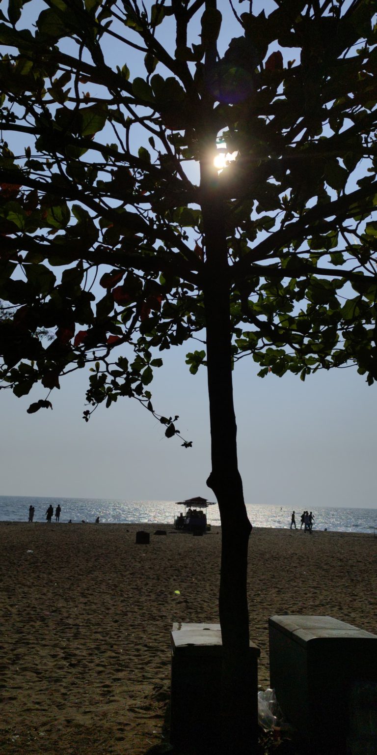 Silhouettes of people walking on a beach with the water behind them. There is a tree silhouetted in the foreground.
#WPPhotoFestival