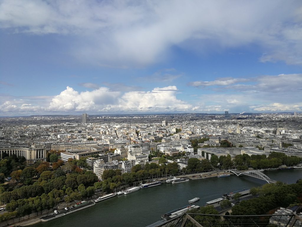 Birds eye view of the city “Paris”