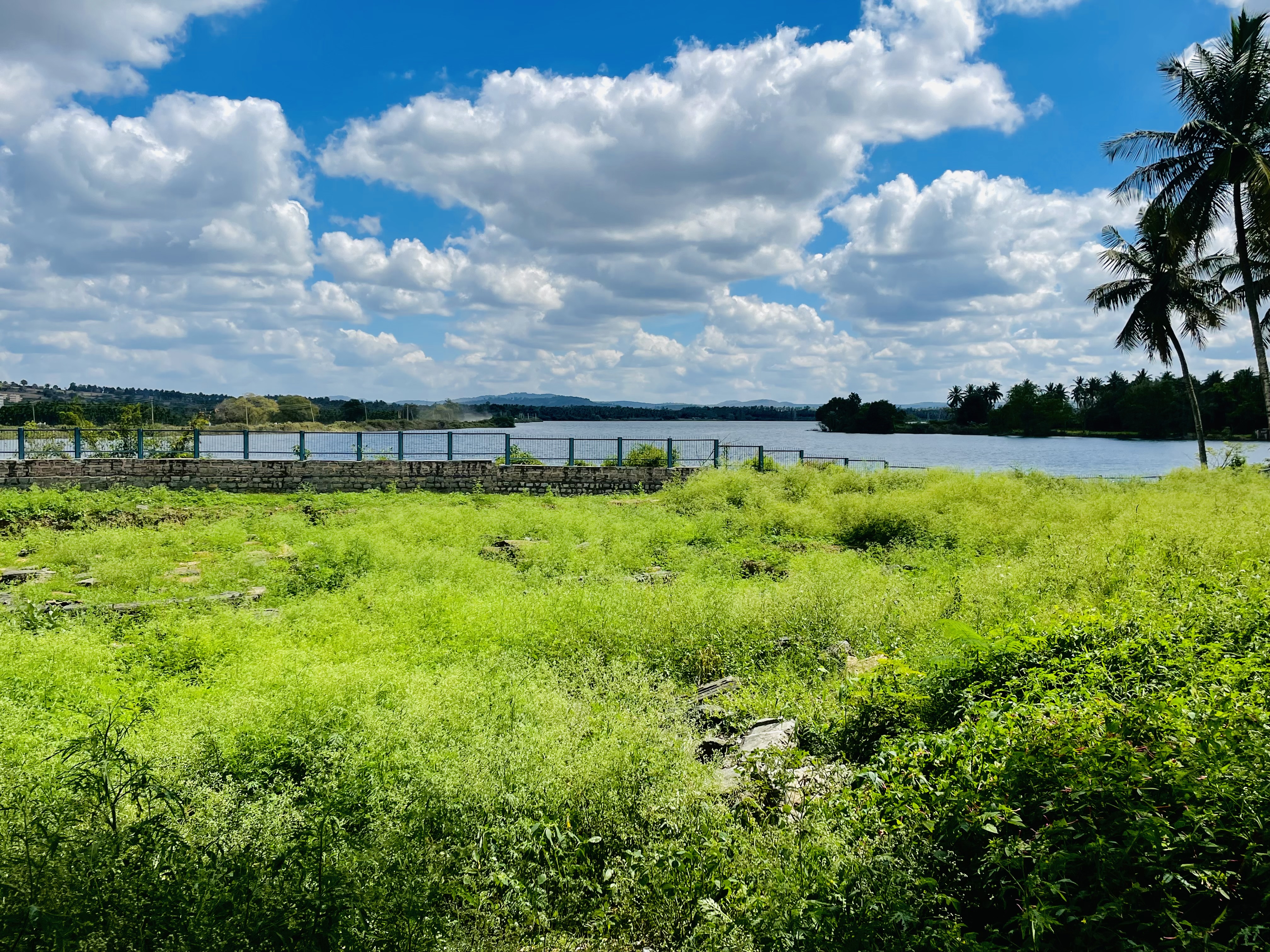 A long view of Dwarasamudra Lake, Halebidu. Hassan, Karnataka