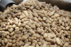 Mound of peanuts in the shell.