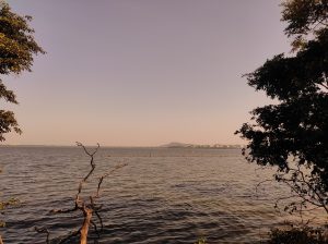 Morning lake view in Bhopal, Madhya Pradesh, during WordCamp Bhopal 2023.
