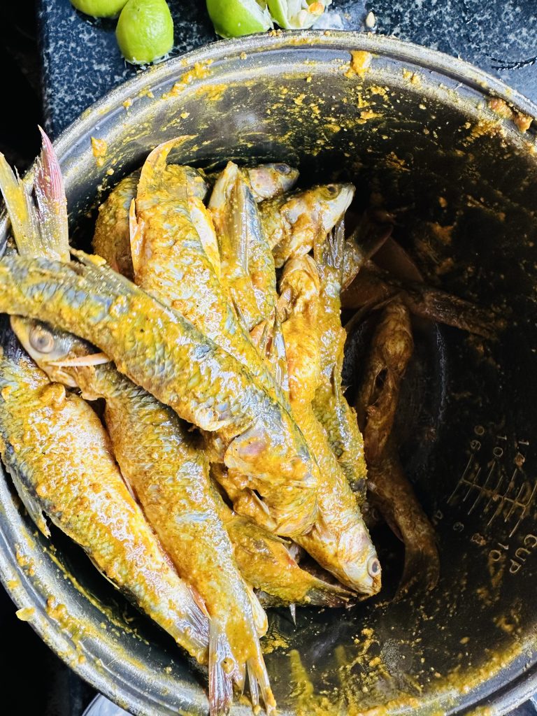 Marinated fish which is ready for cooking. The fish is small in size and will cook in hot oil.