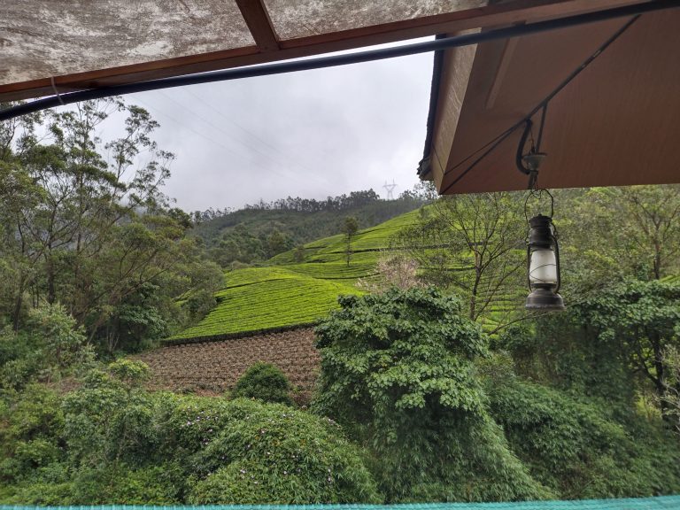 Tea estate at Kannan Devan Hills, Kerala