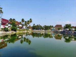 Famous pond near to calicut beach, the trees in the back are reflecting in the green water.