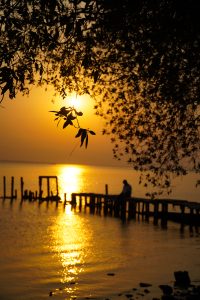 Silhouetted palm trees against a fiery sky, capturing the serene beauty of a sunset's final curtain call