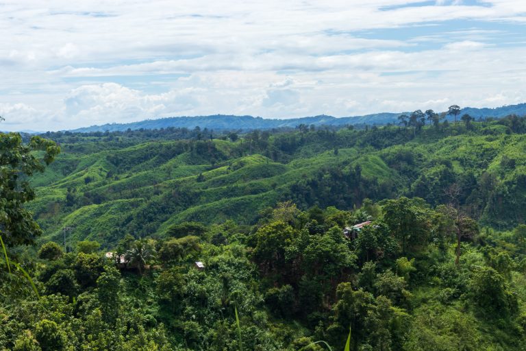 Mountain vista on a sunny day, lush green vegetation as far as the horizon line.