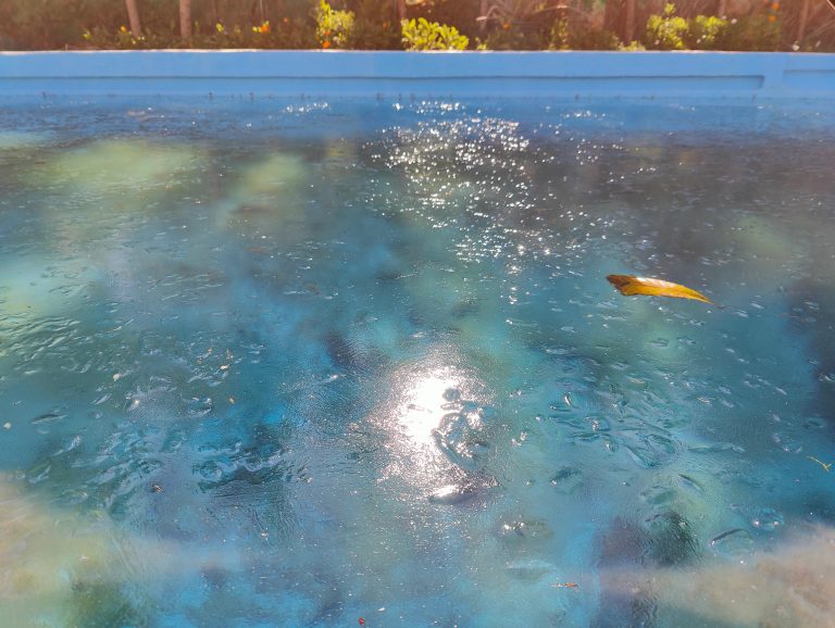 A photo of water in a blue swimming pool with a layer of ice on the surface, reflecting sunlight. There’s a yellow leaf on the ice and greenery in the background.