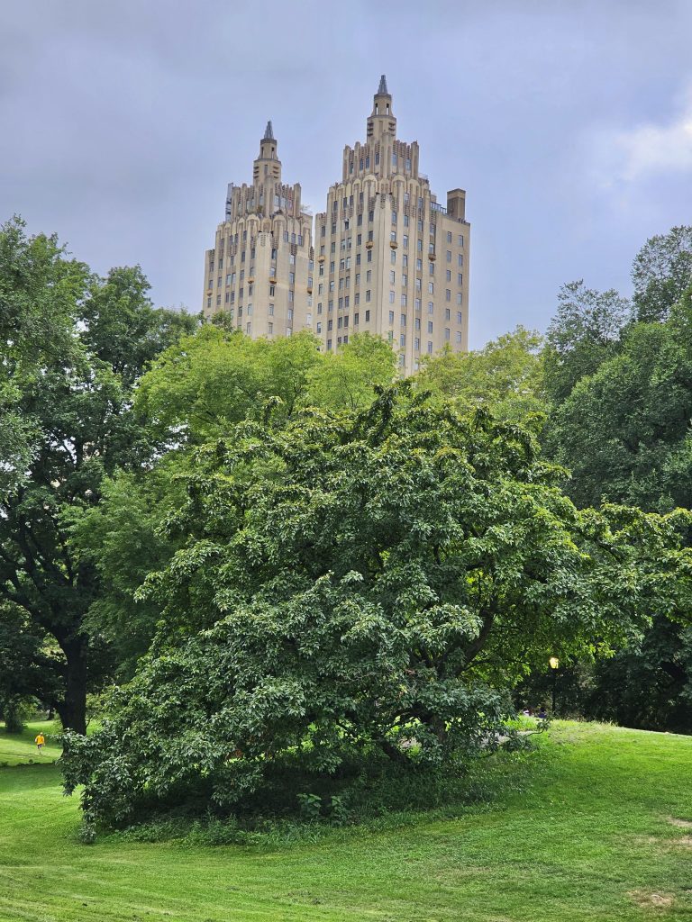 Long view of The El Dorado building. A early 20th century apartment complex. From Central Park, New York, United States.