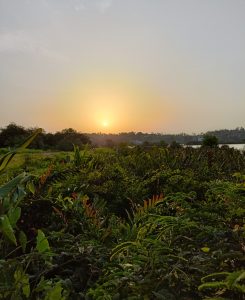 The sun setting over trees and water across a field.
#WPPhotoFestival
